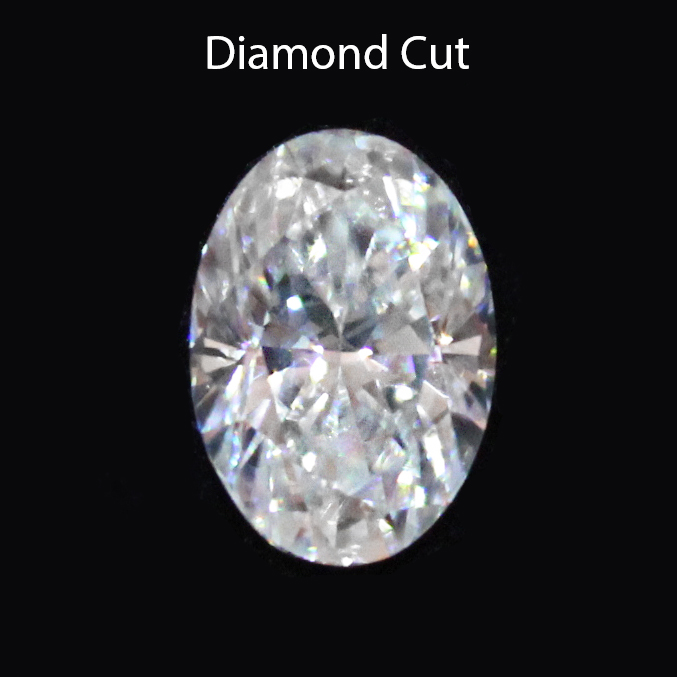 Mèche diamant à rainurer et détourer Diam 10 x 25 mm 102512.00 Leman